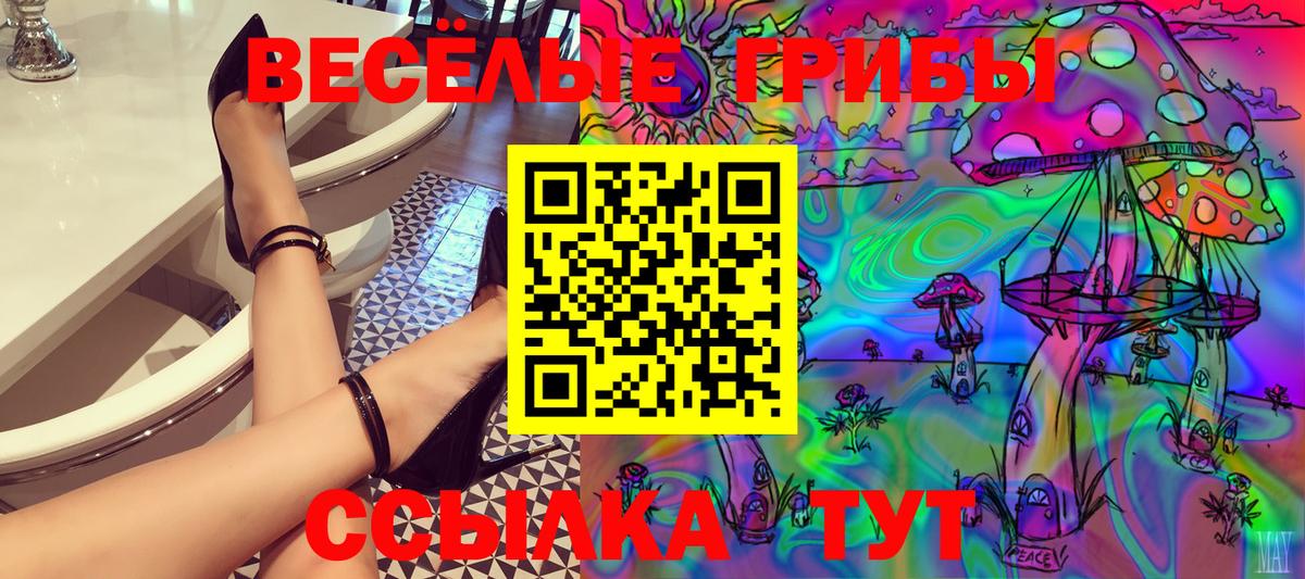 Жуковский  Галлюциногенные грибы Cubensis  Вход с VPN 