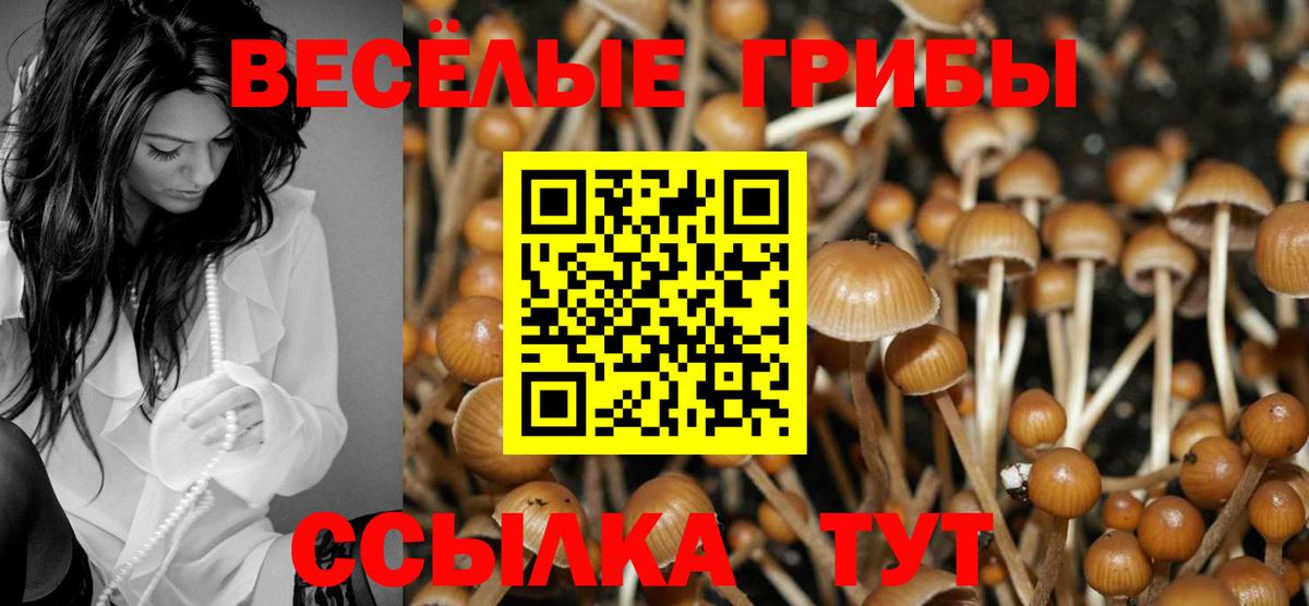 Галлюциногенные грибы ЛСД Жуковский